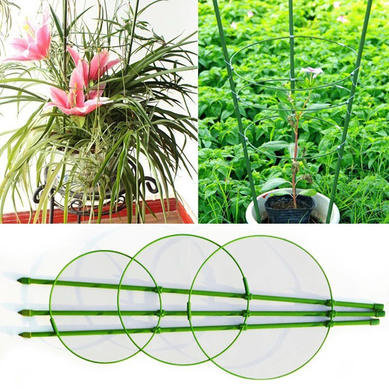 ( HOT ) Giá đỡ hoa hồng, cây leo, cà chua cao 75cm, 90 cm
