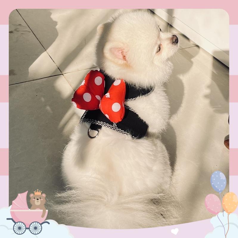 Áo dắt phiên bản Mickey chó mèo