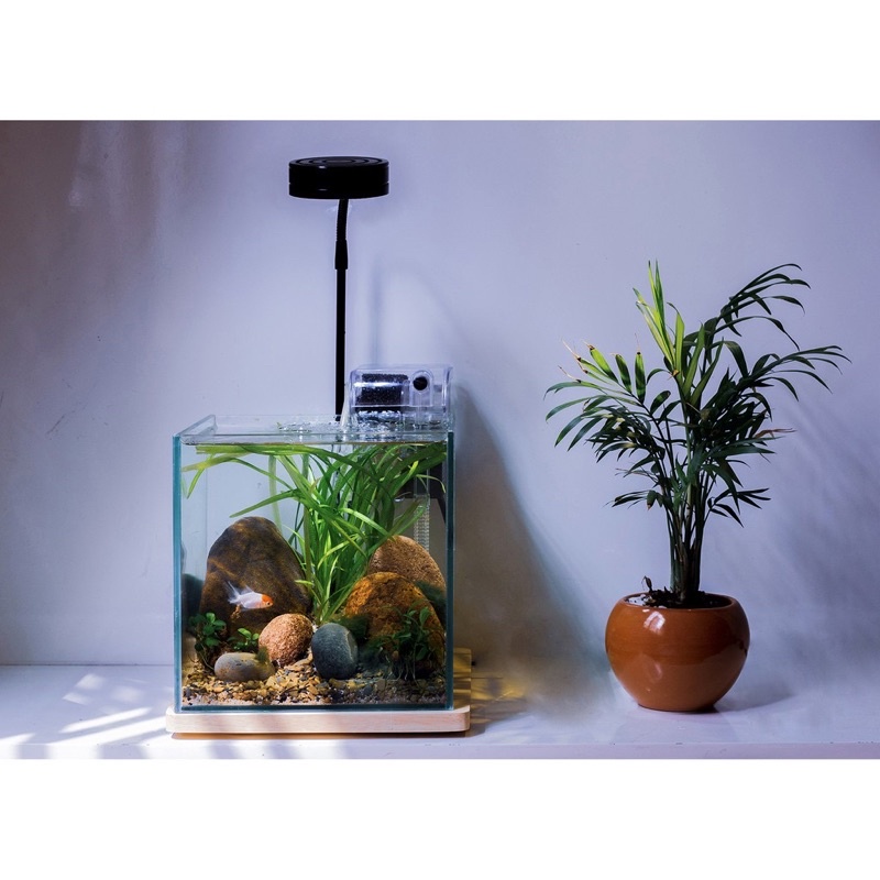 Đèn led đế gỗ 3w,5w,7w,9w cho bể thuỷ sinh , terrarium..