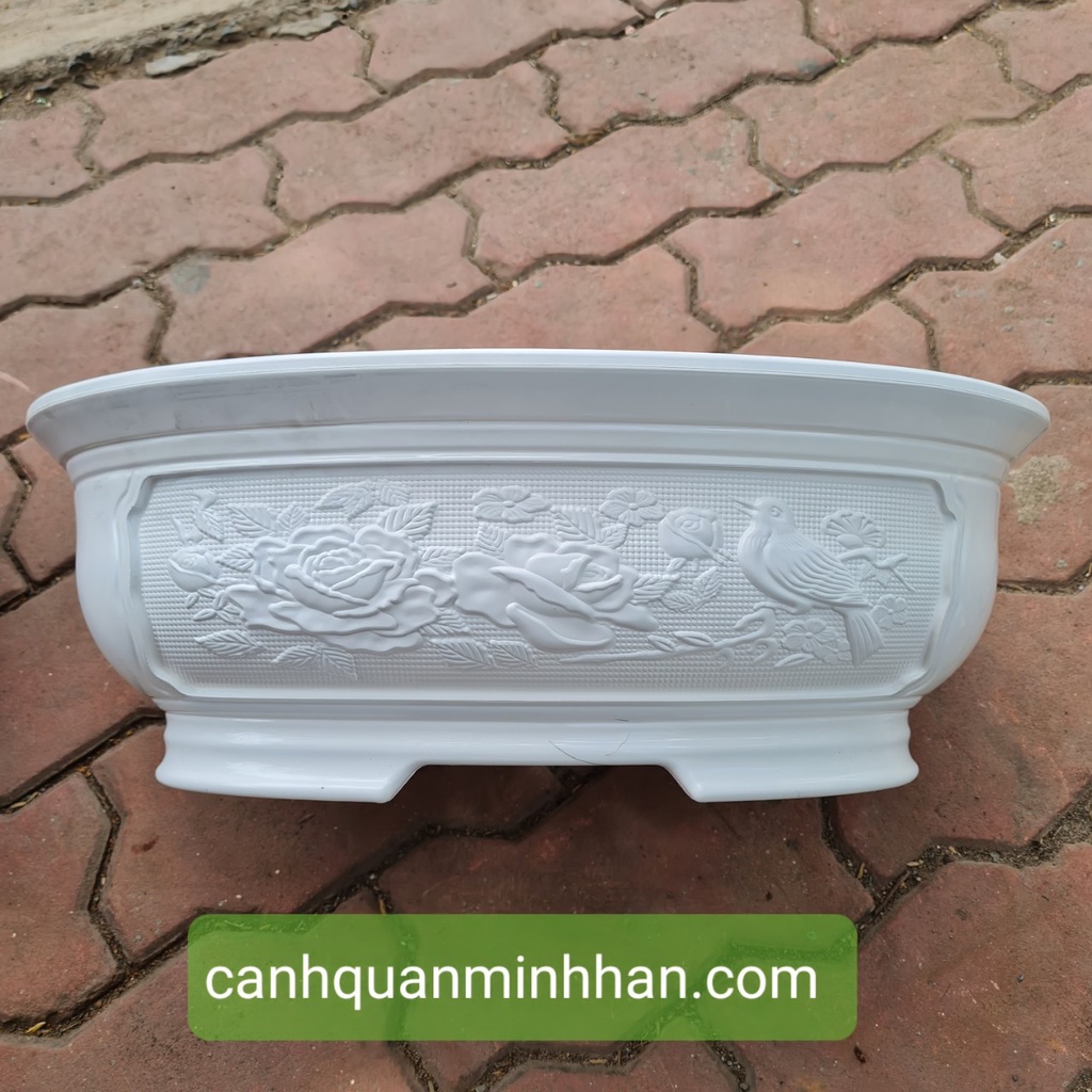 Chậu bonsai mini nhựa, chậu bonsai nhựa hình ovan trồng cây phù hợp cho các loại cây bonsai, cây mini Minh Hân Garden