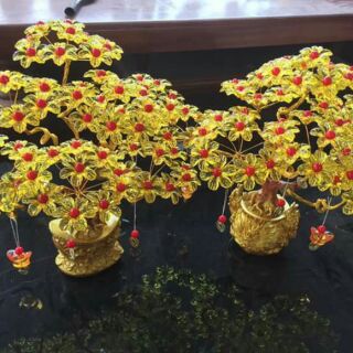 Cây tài lộc vàng