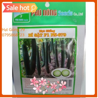 Hạt Giống Bí Sặt, Bí xanh Cao Sản Năng Suất Dễ Trồng (0.5gr)