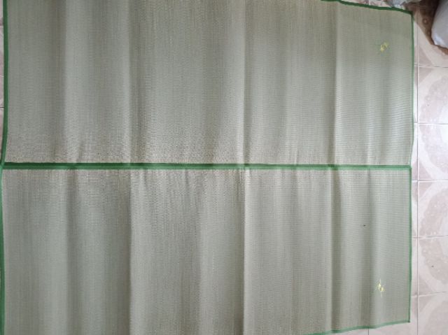 CHIẾU CÓI CỎ XUẤT KHẨU - MÀU XANH - GẬP ĐÔI. kt: 60cmx190cm- 1m6x1m9. 1m8x1m9