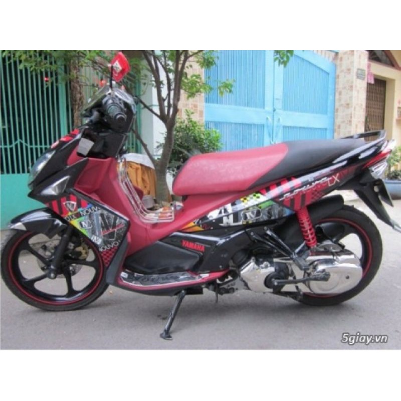 Tem rời dán xe novo 4