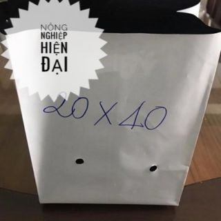 Túi PE trồng cây 1kg (20cmx40cm)