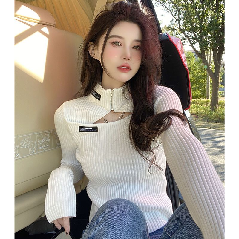 Áo Sweater Dệt Kim Cổ Lọ Dáng Ngắn Thời Trang Xuân Thu Cho Nữ