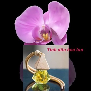 TINH DẦU THƠM NGÂN BÌNH
