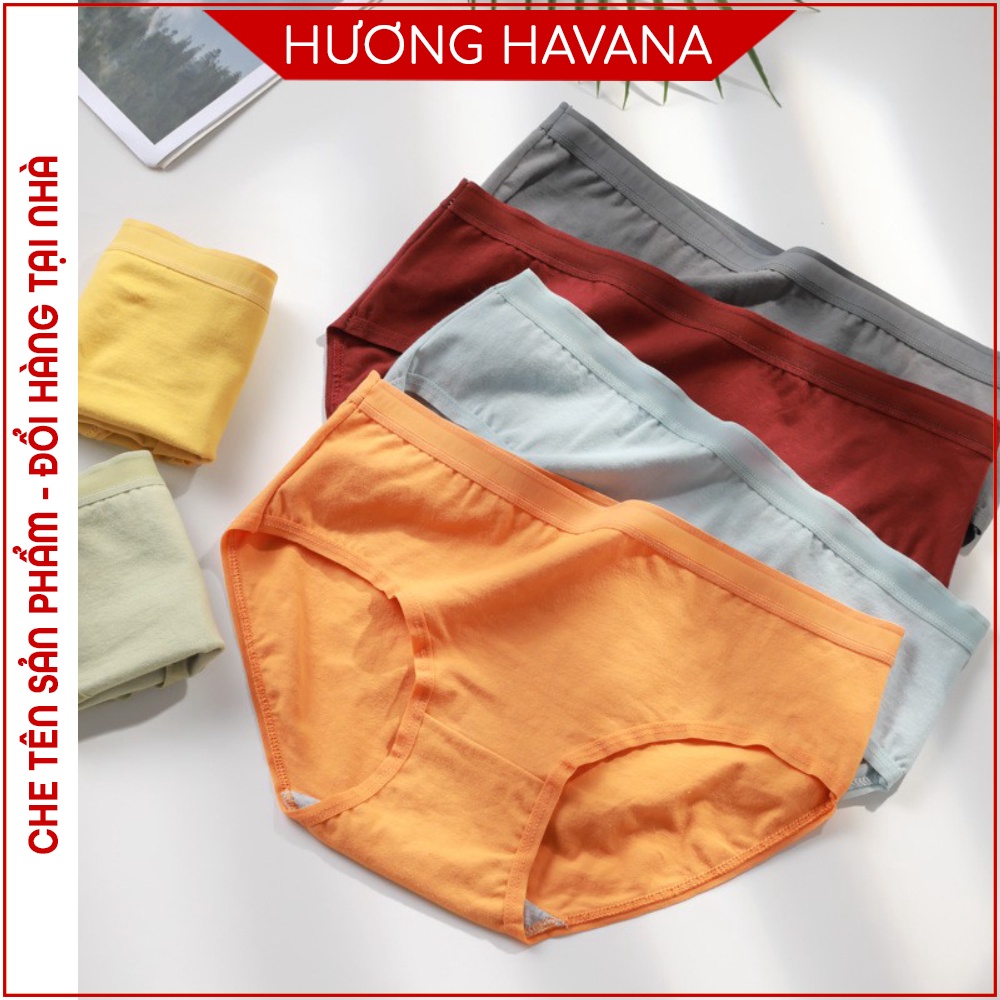 Set 5 Quần lót nữ cotton cạp vừa thoáng mát thấm hút kháng khuẩn - quần chip havana FLQ83
