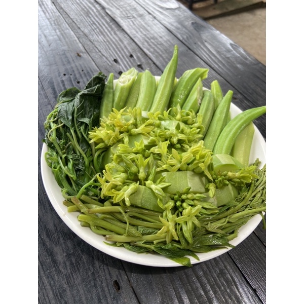 Cây giống hoa thiên lý