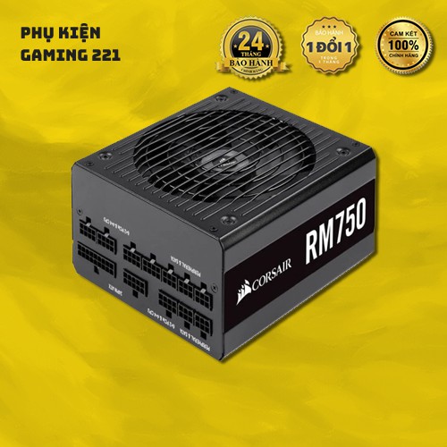 Nguồn máy tính Corsair RM750 - 80Plus Gold - Hàng Chính Hãng