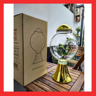 Bình thủy tinh Ngâm rượu 5L HÀN QUỐC YongCheon hình Trụ Cầu No40. Hàng cao cấp - Phóng to sâm - Bảo vệ sức khỏe.