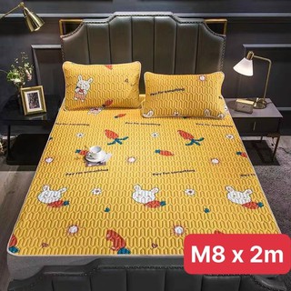 Chiếu điều hoà cao su non 2D