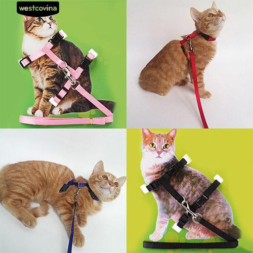Dây xích cổ bằng nilon màu sắc đáng yêu cho mèo