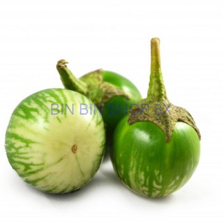 Hạt giống cà bát ta da ếch - 2gr
