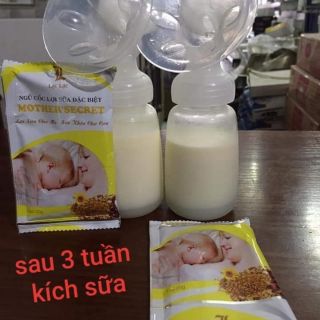 Ngũ cốc siêu lợi sữa đặc biệt