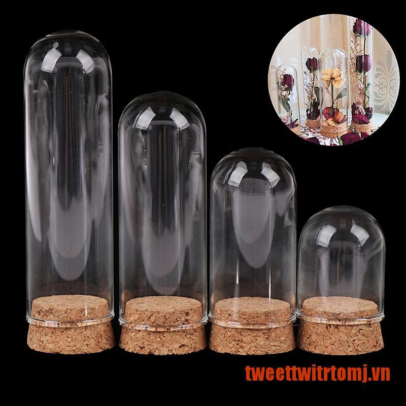 TWEET 1/6 Doll Glass Dome Display Wood Cork Bell Jar With Wooden Base Decoation C