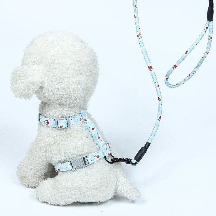 Dây Đeo Cổ Thú Cưng Đi Dạo Tiện Lợi