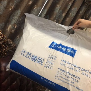 Ruột gối HILTON - (2 chiếc)