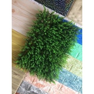 [ Loại 1 ] Combo cực sốc 5 tấm cỏ tai chuột trang trí nhà xinh 200k