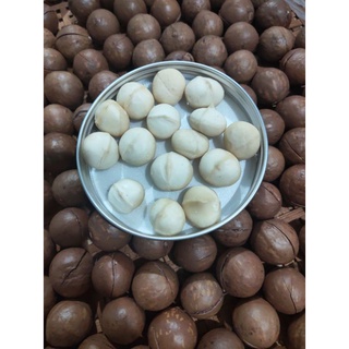 Macca sấy ăn liền (nhân đã tách vỏ) 500gr