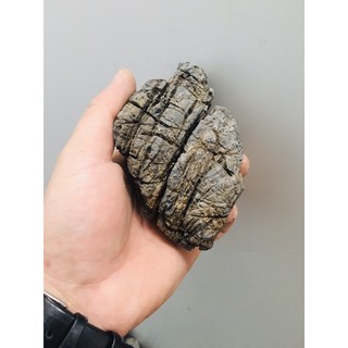 Đá da voi siêu vân (size S)