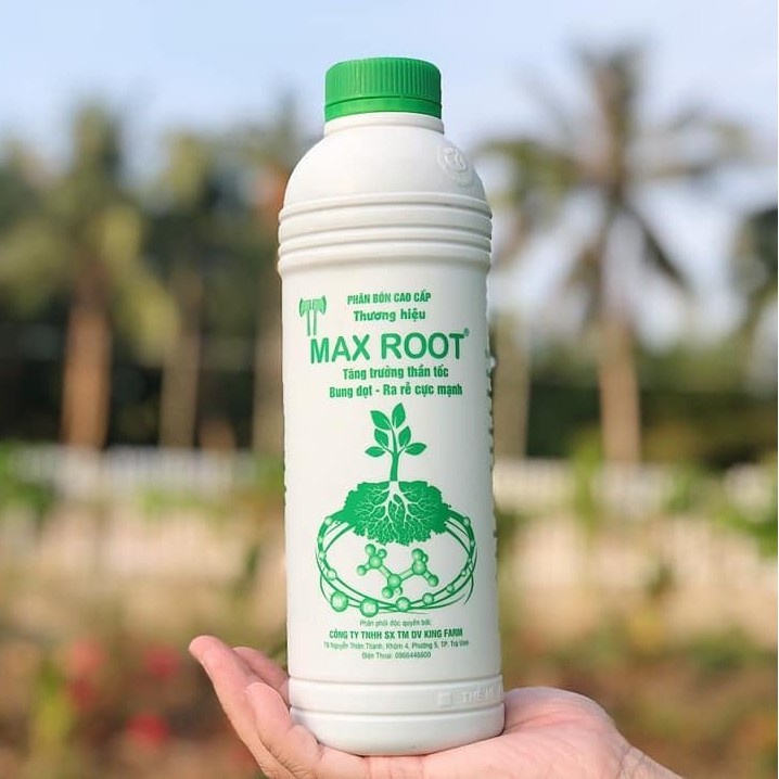 [500ml] MAX ROOT - Kích bung đọt, kích rễ cây cực mạnh phục hồi cho cây trồng