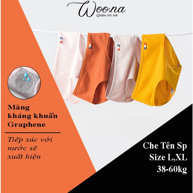 Quần lót nữ kháng khuẩn gân tăm Size L,XL. Quần lót cotton sợi tre màng kháng khuẩn xuất Pháp. | BigBuy360 - bigbuy360.vn