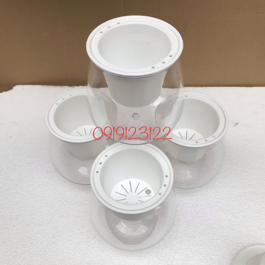 Set 5 chậu trồng thủy sinh bằng nhựa miệng 10cm*13cm