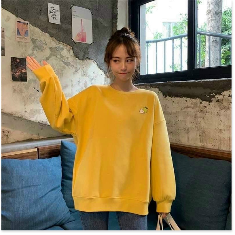 [FREE SHIP TOÀN QUỐC] ÁO THUN NỮ SWEATER TAY DÀI THUN NỈ PE FORM RỘNG THÊU TRÁI CÂY CỰC XINH