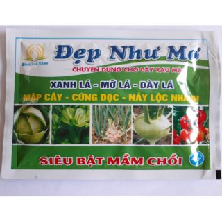 Xanh lá mỡ lá dày lá mập cây cứng dọc nảy lộc nhanh siêu bật mầm chồi phân bón trung vi lượng