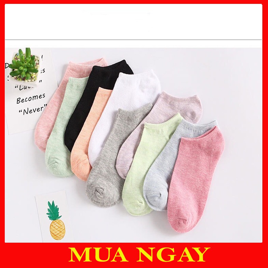 Combo 10 Tất Nữ Cổ Ngắn Nhiều Màu CT5