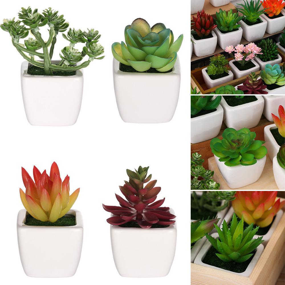 Chậu Hoa Sen Đá Giả Mini Chất Lượng Cao