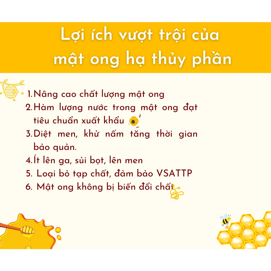 Mật ong tự nhiên rừng lá tràm 1 lít thiên nhiên nguyên chất chuẩn 100%