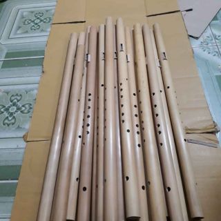 Sáo Mèo Nam đơn - màu socola - trắng