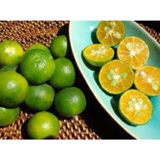 Tắc tươi 1 kg