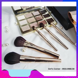 Bộ cọ Pony Effect mini set