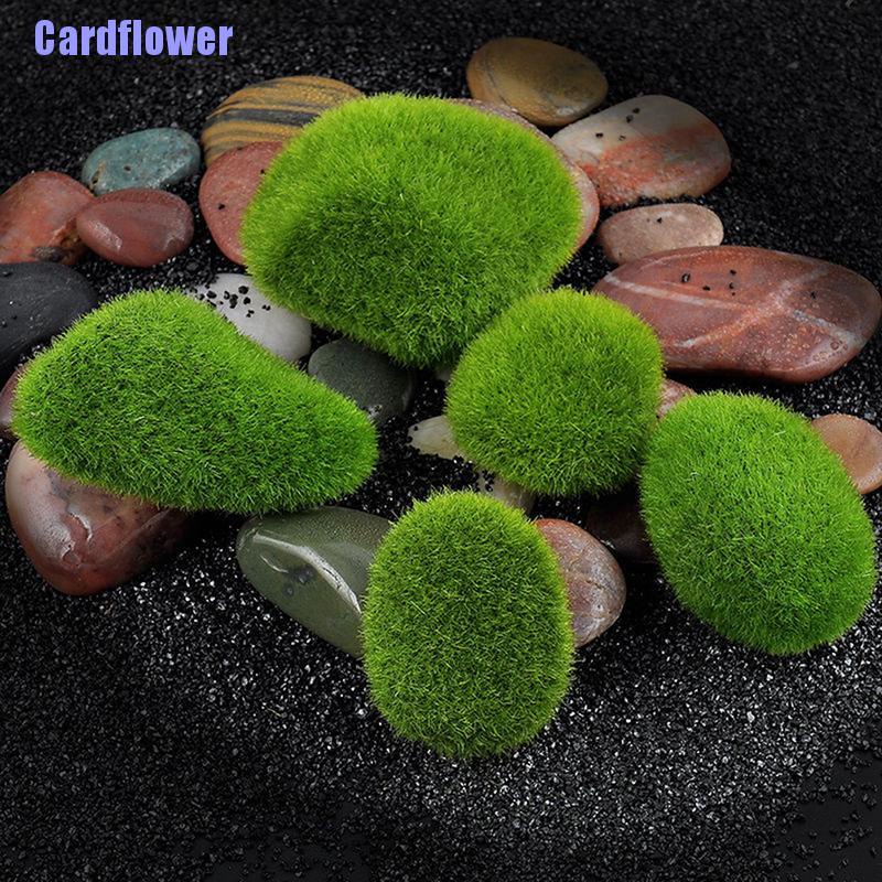 (Hàng Mới Về) Quả Bóng Đá Rêu Nhân Tạo Dùng Để Trang Trí