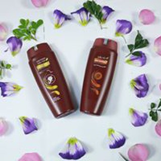 Bộ dầu gội và dầu xả thái dương 7 chai 200ml