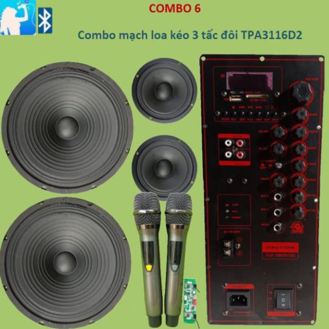 Combo Mạch loa kéo 3 tấc đôi TPA3116D2 2 kênh riêng biệt