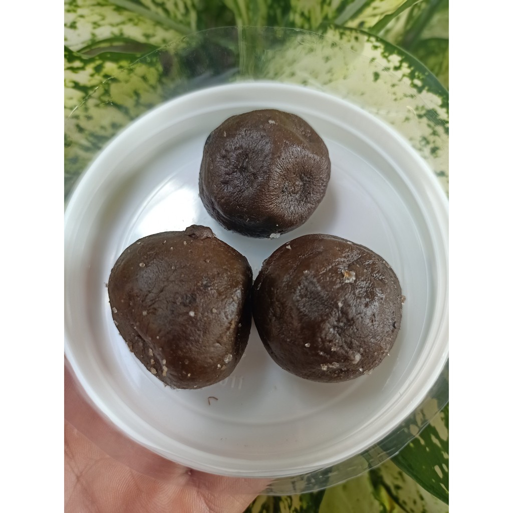 Chanh Muối Trái LÂU NĂM  - Thực Dưỡng