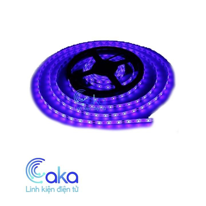 LED DÂY DÁN 5050 MÀU XANH DƯƠNG 5M