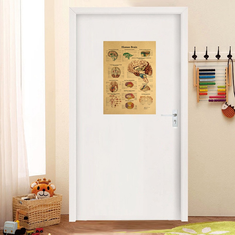 Poster Dán Tường Hình Cấu Tạo Cơ Thể Người Độc Đáo