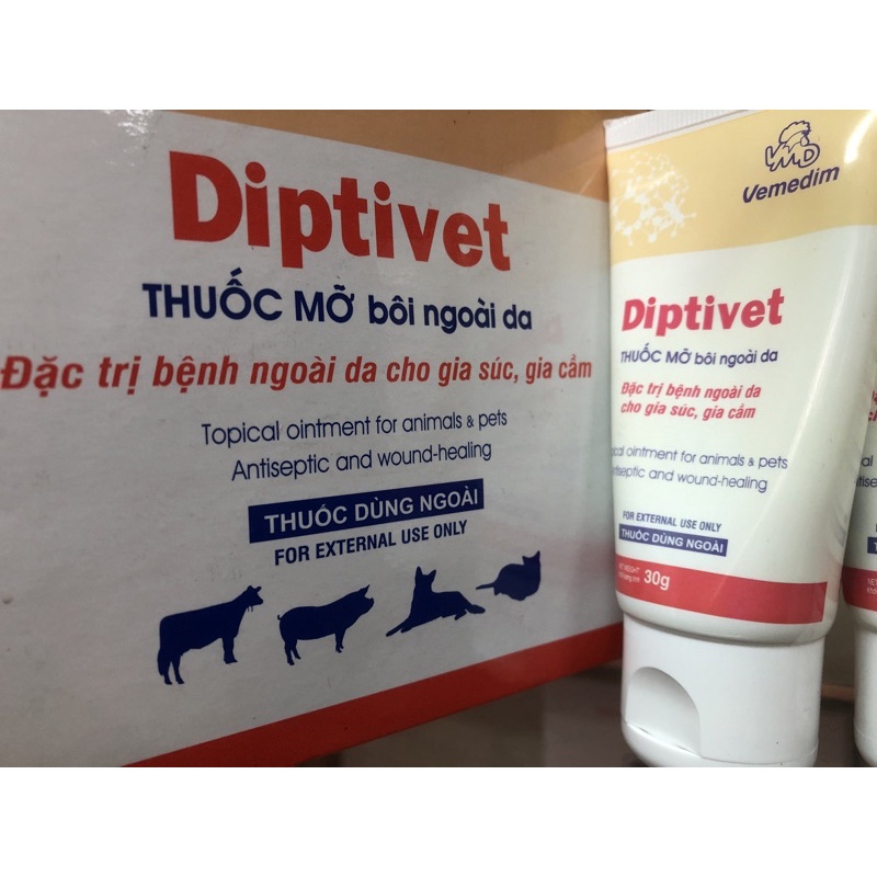 Diptivet bôi vết thương, viêm da, ghẻ ở chó mèo vật nuôi