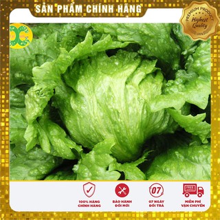 Hạt giống Xà lách Đăm(xà lách cuộn)