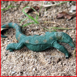Mô Hình Rồng Đất Komodo - 7665.6
