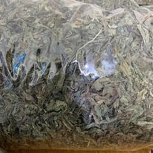 Trà bồ công anh thanh nhiệt, giải độc, làm sạch cơ thể, làm mát sữa, chống tắc tia sữa 1kg