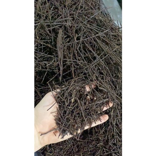 DỚN CỌNG TRỒNG LAN 200g