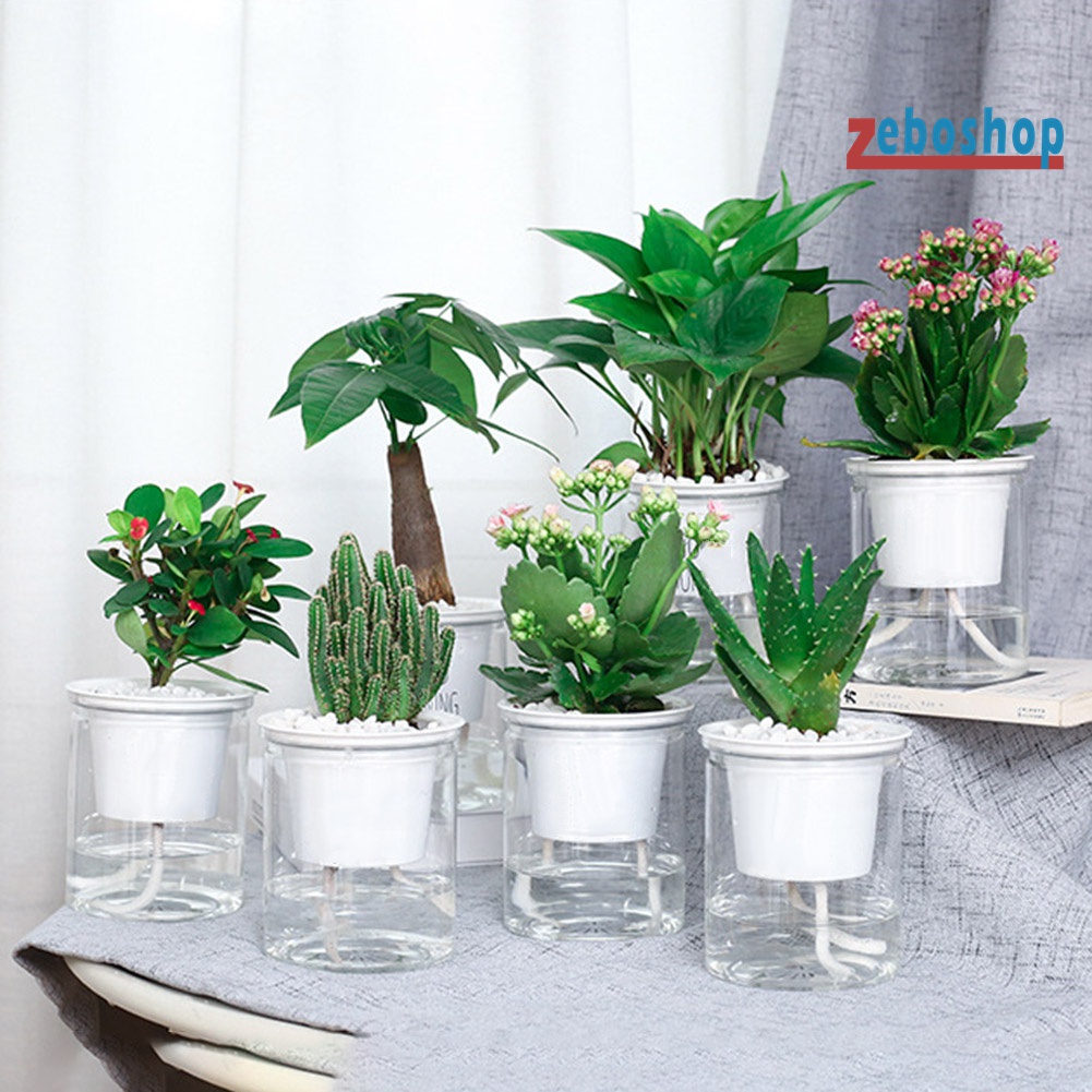 Chậu Hoa Hấp Thụ Nước Tự Động Bằng Resin Resin