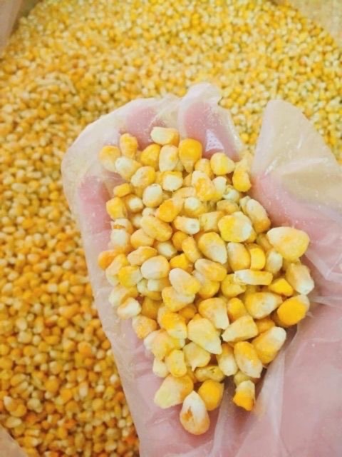 BẮP MỸ SẤY LẠNH SIÊU NGỌT- BÁN SỈ LIÊN HỆ SHOP