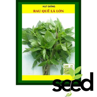 Hạt Giống Rau Quế 10 Gram